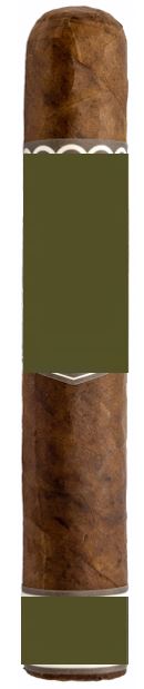 Plasencia Alma del Campo Tribu - Single Cigar